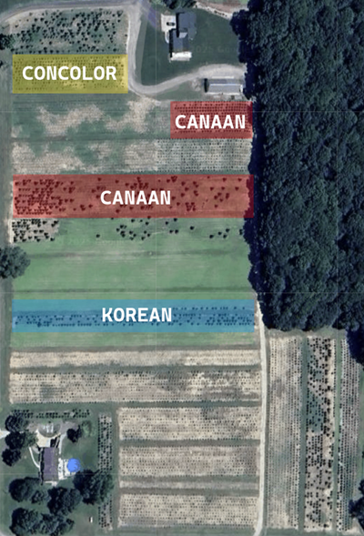 TTTF North Tree Map